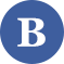 Brandon S.